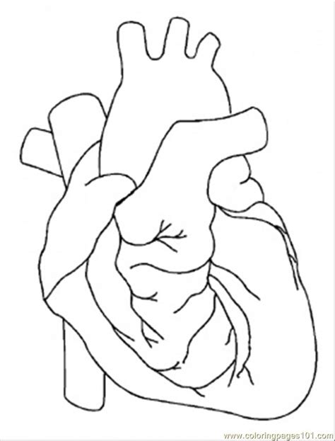 The best way to learn the landmarks is to draw from life or from photos and try to identify them. Heart Coloring Page - Free Body Coloring Pages ...