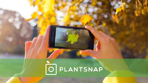 Plantsnap Identify Plants With An App By Greenatomearth — Kickstarter