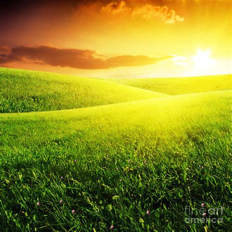 Field Of Grass And Sunset Photograph By Boon Mee