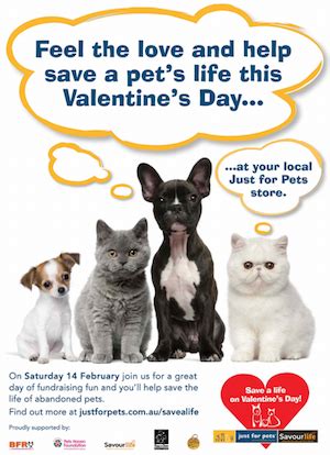 They turn green and produce flowers within just a few days. Marketing case study: Just For Pets launch of Pet Health ...