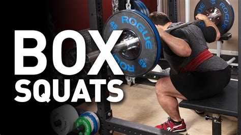How To Box Squat Our Form Vs Westside Barbell Programming Youtube