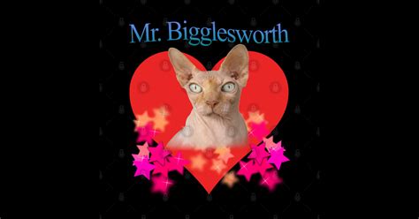 Mr Bigglesworth Dr Evils Cat Tribute Cat Sticker Teepublic