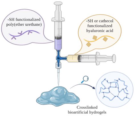 Gels Free Full Text Design Of Injectable Bioartificial Hydrogels By