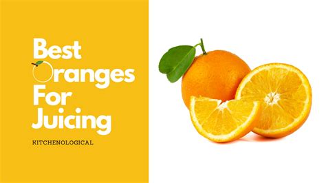 Best Oranges For Juicing 9 Sweetest Ones