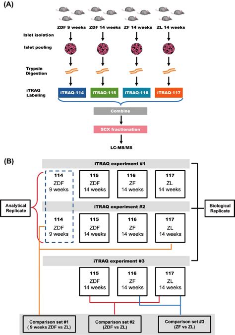 Itraq platform dashboard and apis will make it easy to create applications and solutions to manage and control your location tracking device. Quantitative iTRAQ proteomics approach. (A) Sample ...