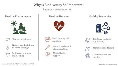 Why Is Biodiversity So Important Today Network For Business