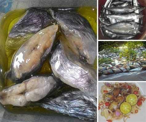 Sementara itu, berikan kulit jeruk berbentuk 'v' dibagian depan untuk dijadikan mulut dari ikan. Cara-Cara Buat Ikan Tenggiri Jeruk Secara Homemade. - Rasa