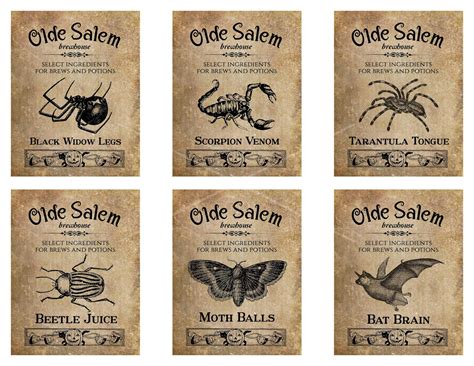 Halloween Witch Brew Potion Labels Tags Digital Instant Etsy