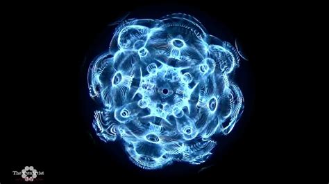 Cymatics Experiment 289 School Of Cymatics