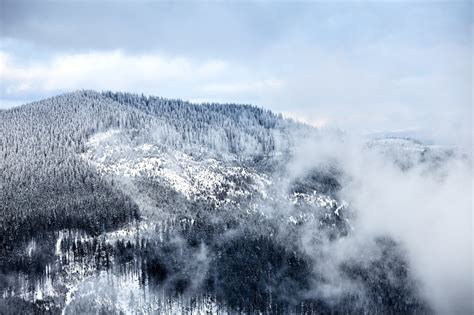 Is A Winter Vacation In The Smoky Mountains Right For You
