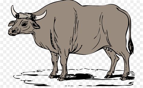 Ox Clipart Bull Ox Bull Transparent Free For Download On