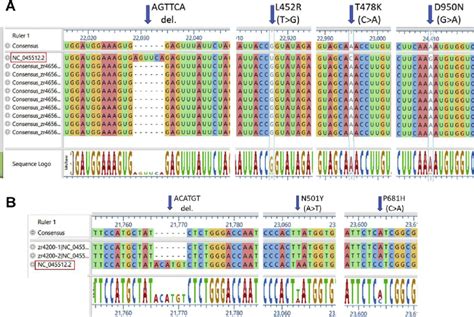 Sequence Alignments Of Representative Full Genome Sequencing Of