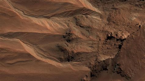 Photos Show Evidence Of Life On Mars Claims Scientist Technology News