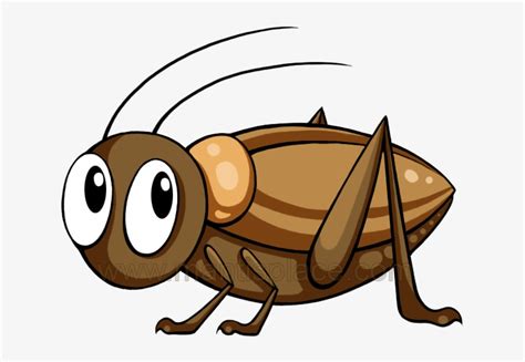 Cricket Clipart Bug 10 Free Cliparts Download Images On Clipground 2024