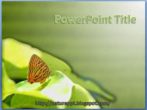 Animal Theme Of A Butterfly On Top Of Leaf Powerpoint Template Nature