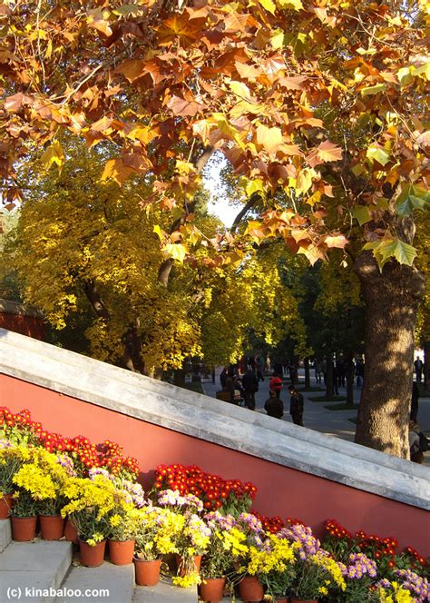 Photographs Of The Colors Of Autumn In Beijing