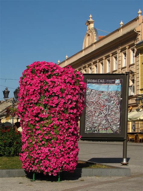 Check spelling or type a new query. Blumen Und Stadtplan In Novi Sad, Vojvodina, Serbien ...