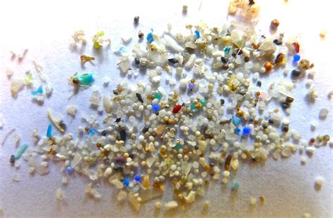 Pozor mikroplastiko najdemo čisto povsod Časoris