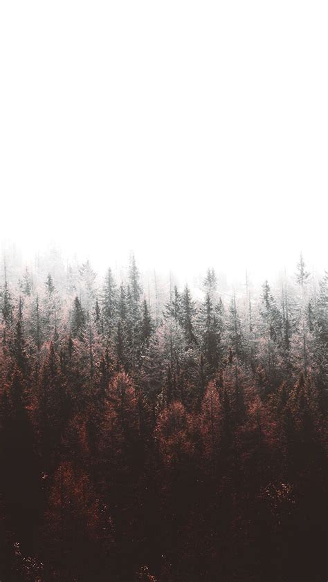 Tap To Download Free Forest Iphone X Wallpapers By Preppywallpapers