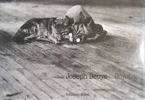 Joseph beuys & the coyote (i like america and america likes me, 1974). joseph beuys coyote - ZVAB