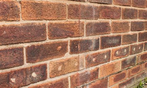 Have your cavity filled if your dentist recommends it. How Do I Know If I Have Cavity Wall Insulation? | M3 ...