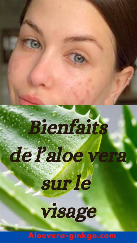 gel d aloe vera sur le visage bienfaits et recettes aloe vera pour la peau aloe vera aloes