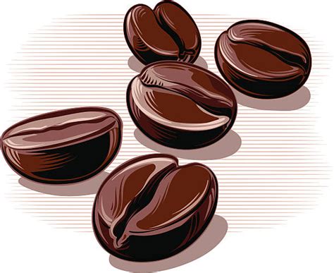 Download Royalty Free Roasted Coffee Bean Clip Art, Vector Images & Illustrations - iStock