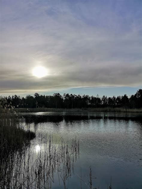 Jisses, så mycket folk det är i tallparken idag. Skön promenad i välbesökta Tallparken 11/2 ...