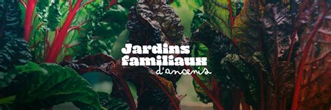 Jardins Familiaux d'Ancenis | Clément Fusil