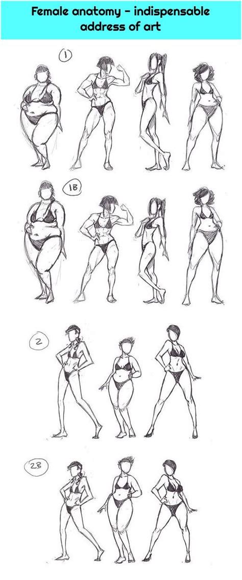 1. Female anatomy – indispensable address of art Weibliche Anatomie