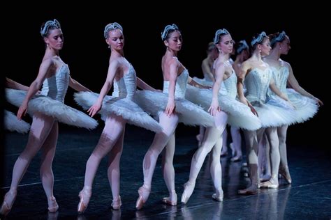 Artists Of The Australian Ballet In Stephen Baynes Swan Lake