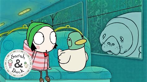 Water With Sarah And Duck World Water Day Sarah And Duck Youtube