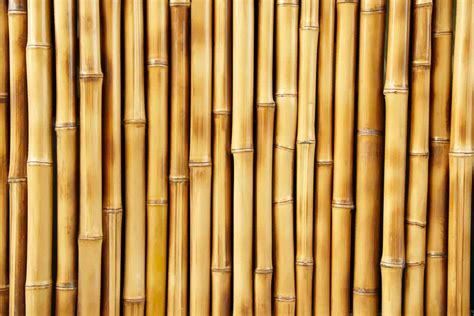 How Strong Is Bamboo And Is It A Wood Obsessed Woodworking