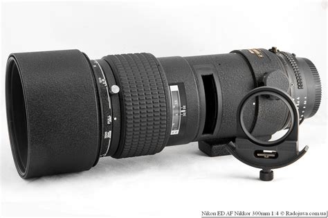 Обзор Nikon 300mm F4 Ed Af Nikkor Радожива