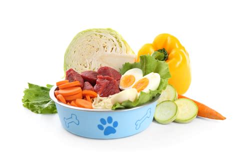 ¿cuáles Son Los Vegetales Que Puede Comer Mi Perro Revista Petmi
