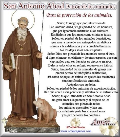 Oracion Para El Santo De Los Perros Bartolo