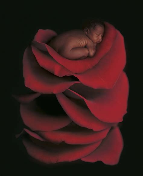 Miracle By Anne Geddes Sweety Babies Photo 40154100 Fanpop