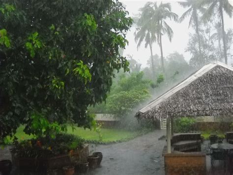 Rainy Season Philippine Observers