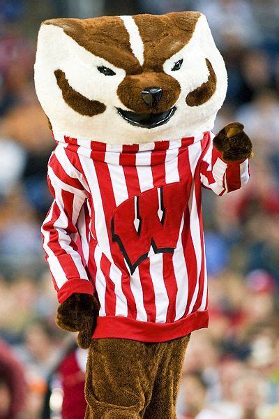 Teach Me To Bucky Video Goes Viral Wisconsin Badgers Bucky Badger