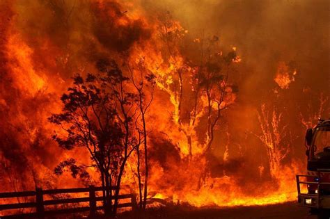They are often ignited/started naturally, by accident or intentionally and. Australia heatwave: Bushfire kills one (Video) - Sri Lanka ...