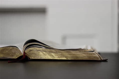Free Stock Photo Of Open Bible On Dark Table