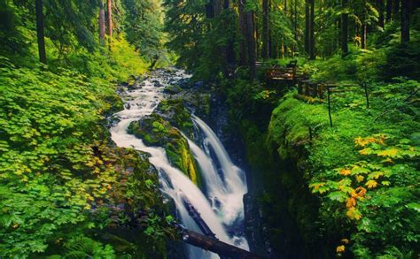 Olympic National Park Washington Hd Wallpaper Waterfall Washington