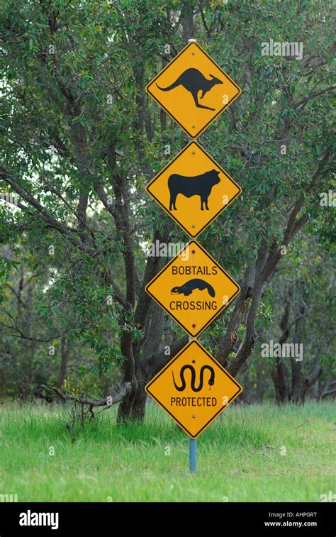Wildlife Warning Signs In Australia Stock Photo Alamy