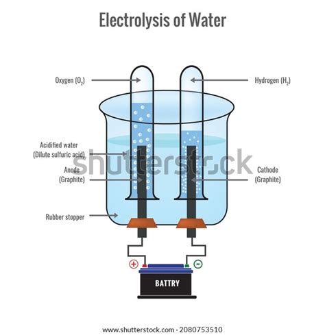 Electrolysis Water Labeled Diagram Show Electrolysis Stockvector Rechtenvrij
