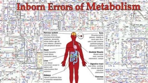 inborn error of metabolism 2019