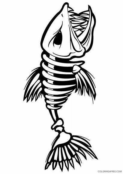 Skeleton Fish Coloring Pages Drawing Coloring4free Printable