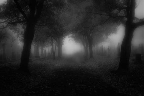 spooky cemetary | Scary backgrounds, Dark landscape, Scary wallpaper