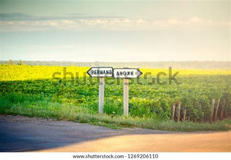 Burgundy Wine French Country Road Signs Stock Photo 1269206110