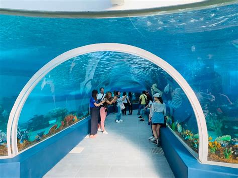 Cebu Ocean Park With Cebu City Tour Package Cebu Ocean Park Tour