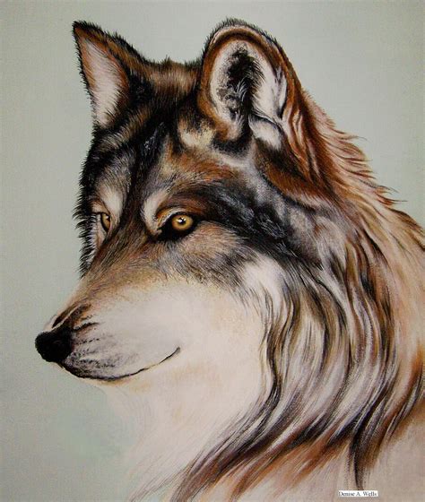 Wolf Stare Acrylic Painting Zeichnungen Tiere Bunte Zeichnungen